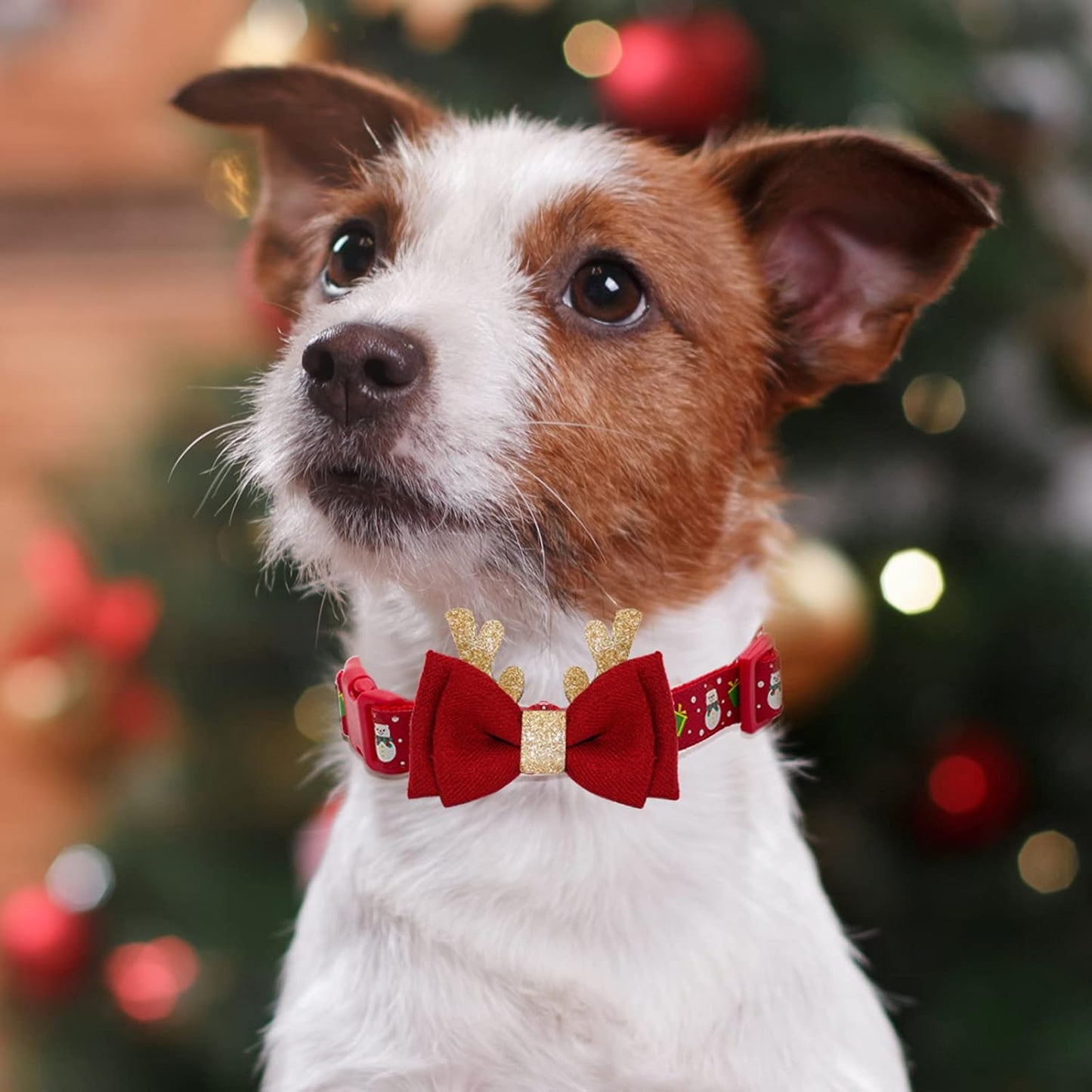 Christmas Dog Collar Adjustable Xmas Dog Collar with Christmas Antler Bow Tie 